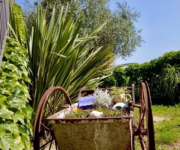 Fattoria Attiva Di Bigio Mauro 公寓